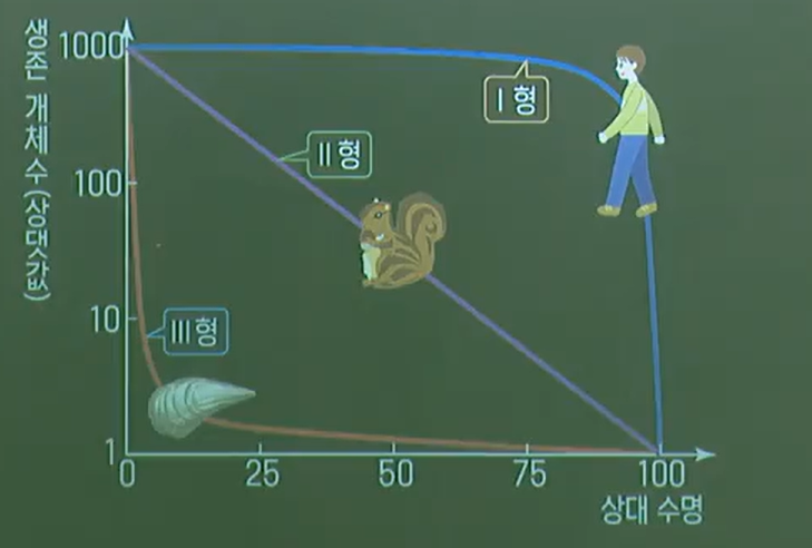개체군생존곡선 개체군생존곡선