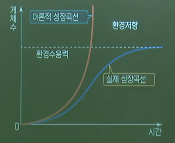 개체군성장곡선 개체군성장곡선
