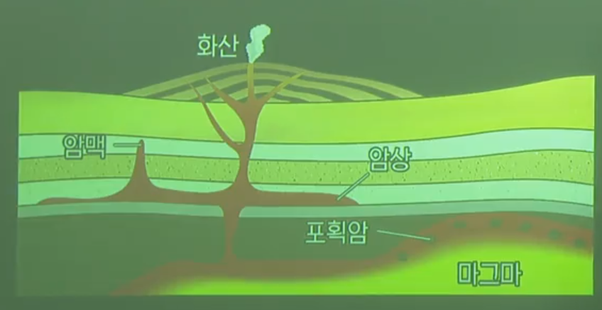 관입과 포획