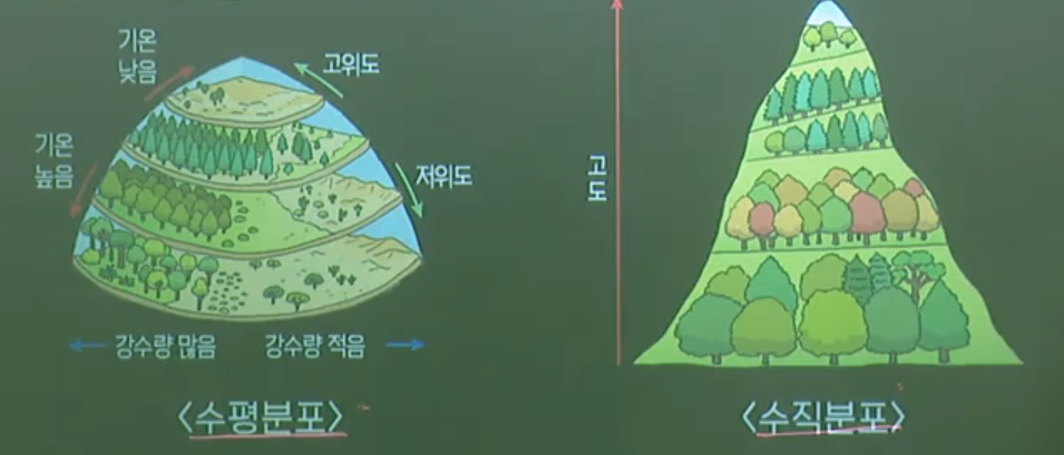군집의생태분포 군집의생태분포