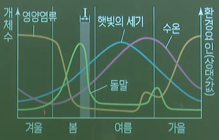돌말개체군 돌말개체군