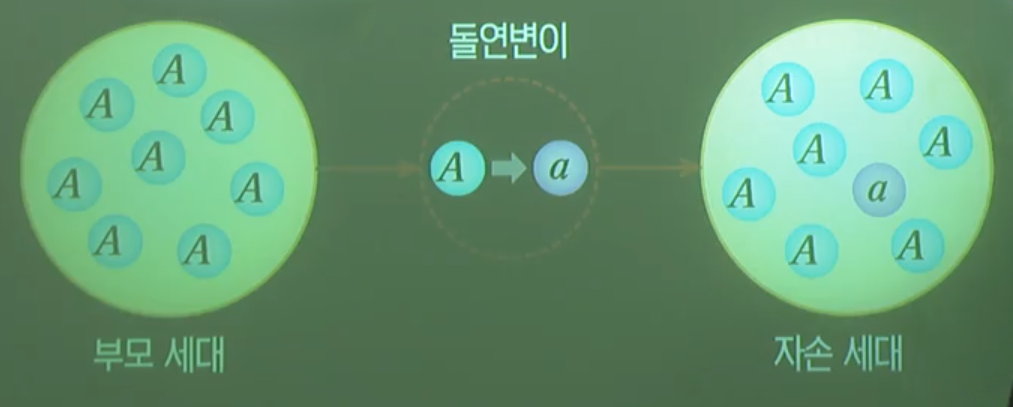 돌연변이 돌연변이