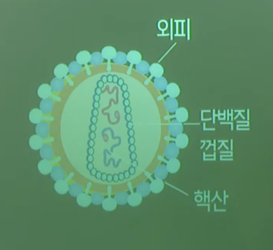 바이러스 바이러스