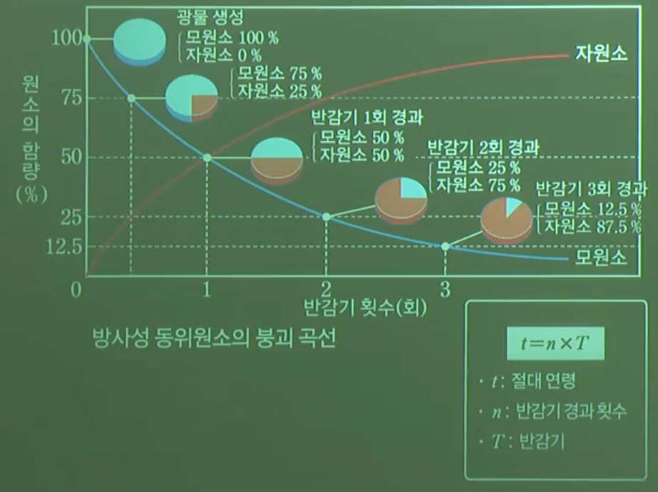 방사성 동위원소의 붕괴 곡선