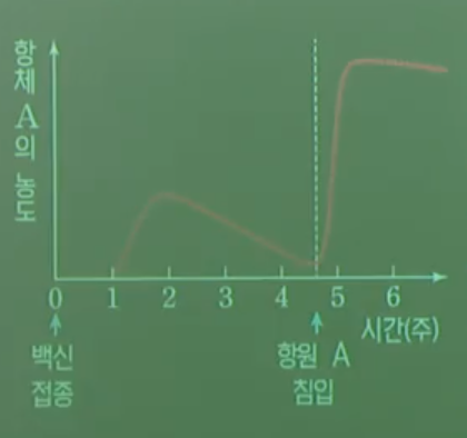 백신의작용원리 백신의작용원리
