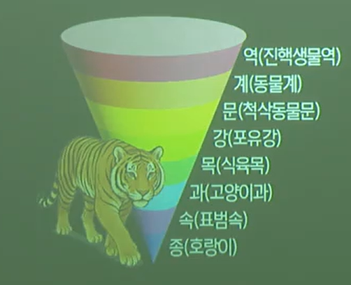 분류계급 분류계급
