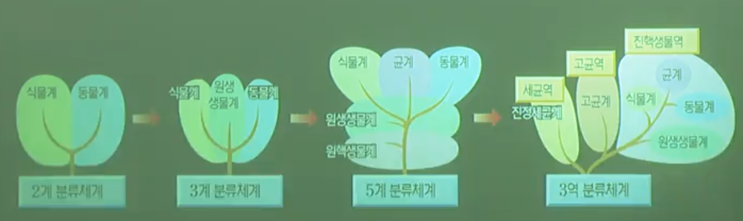 생물의분류체계 생물의분류체계