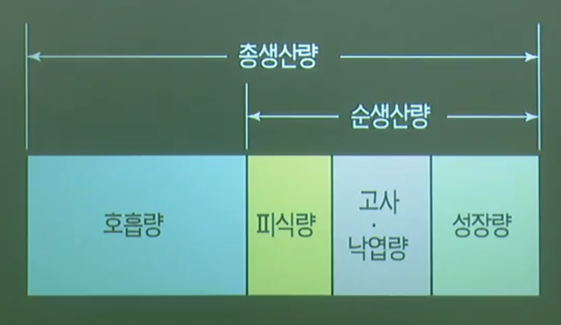 생산자의 물질 생산과 소비 생산자의 물질 생산과 소비