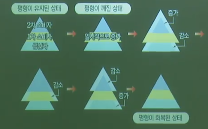 생태계평형 생태계평형