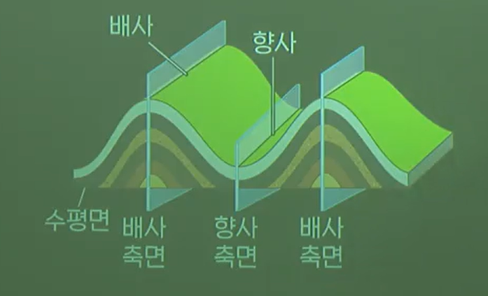 습곡