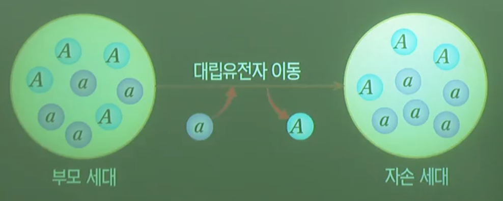 유전자흐름 유전자흐름
