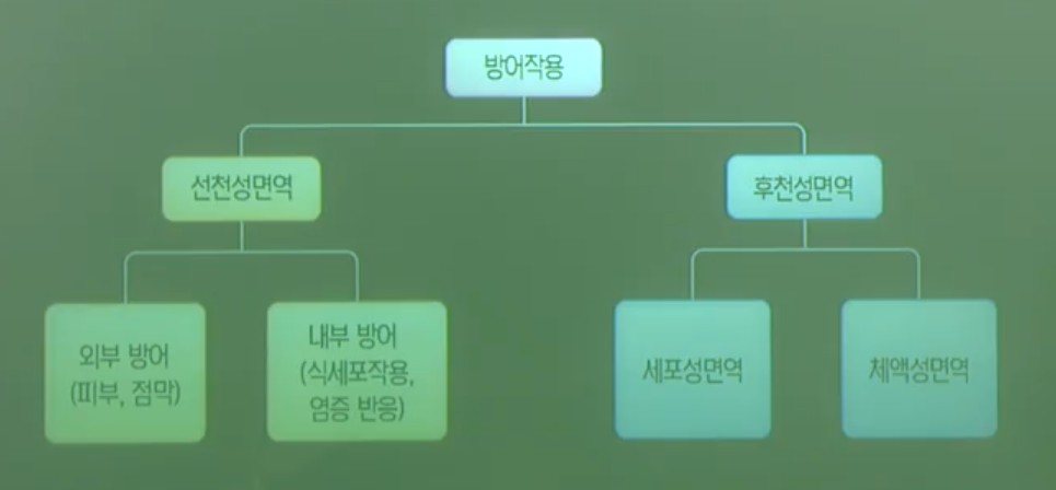 인체의방어작용 인체의방어작용