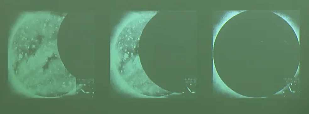 일식의 특징
