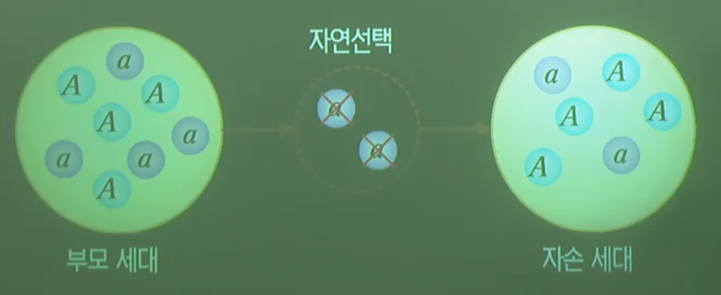 자연선택 자연선택