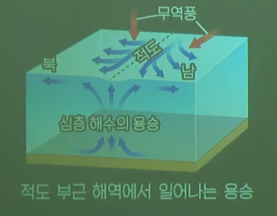 적도 용승
