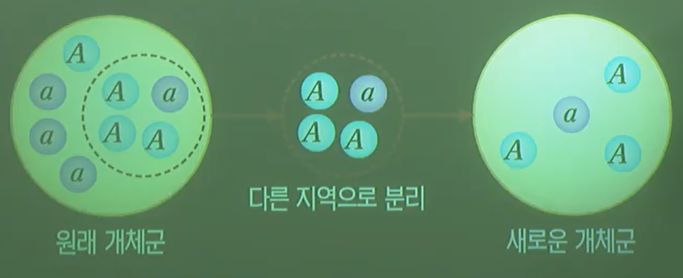 창시자효과 창시자효과