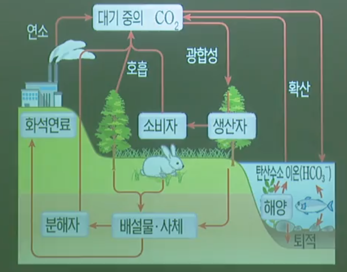 탄소순환