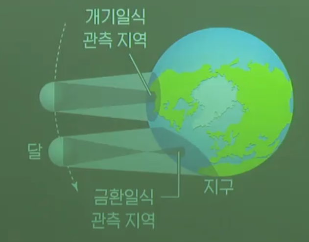혼성일식