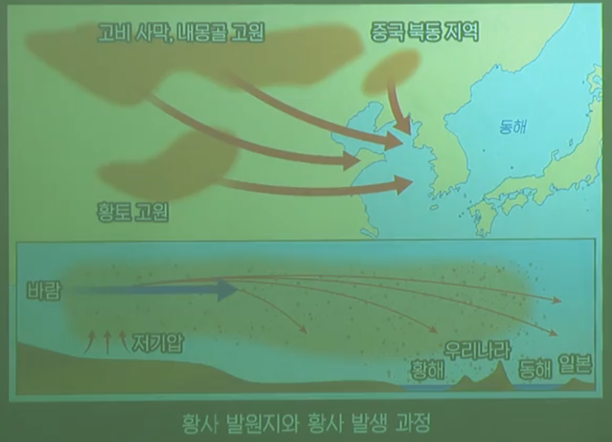 황사 황사