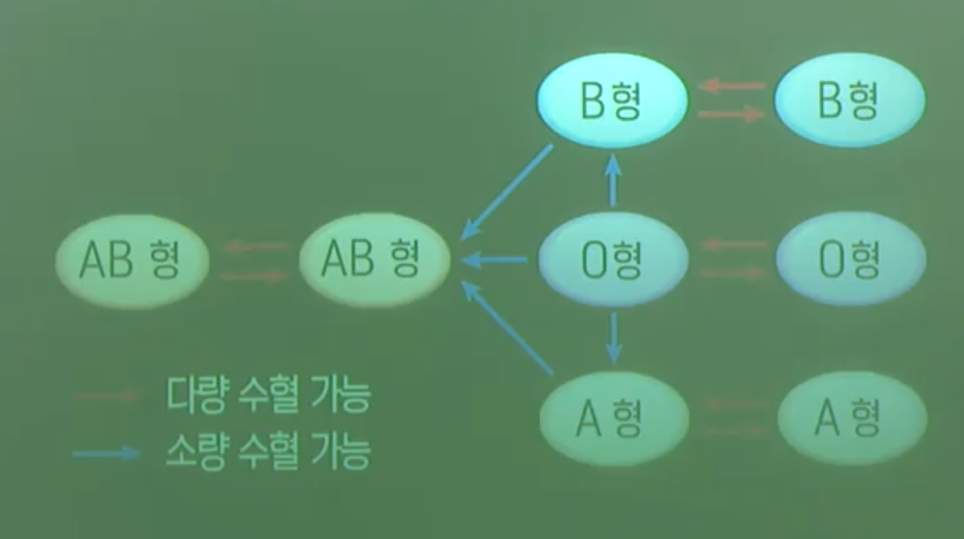 ABO식혈액형의수혈관계 ABO식혈액형의수혈관계