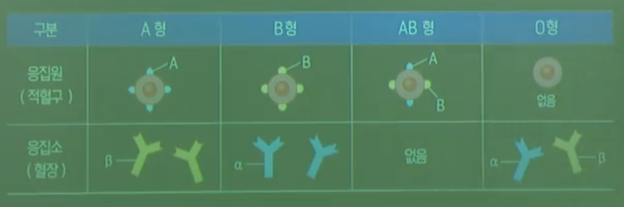 ABO식혈액형 ABO식혈액형